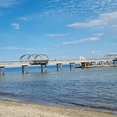 Rosa Canina, W8 * Kellenhusen