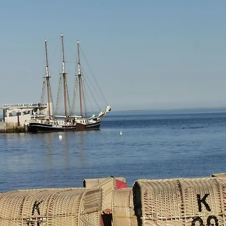 Rosa Canina, W8 * Kellenhusen