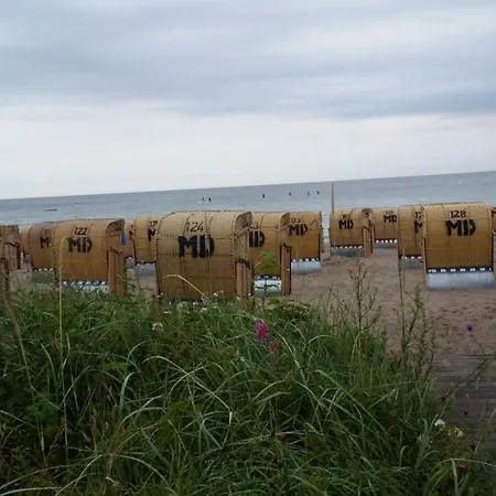 Rosa Canina, W8 Kellenhusen